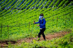 BIB: 
                            <button type="button" onclick="openModal(19163068)" class="btn btn-primary btn-sm float-right btn-popup" data-toggle="modal" data-target=".modal-high-quality">
                        <i class="fas fa-shopping-cart"></i> Add to Cart
                    </button>
                                            <button type="button" onclick="isThisMe(19163068, true)" class="btn btn-success btn-sm float-right btn-popup btn-isme hidden" data-toggle="tooltip" data-placement="bottom" title="นี่คือรูปของคุณใช่ไหม คลิกที่นี่เพื่อเอาเข้าอัลบั้ม">
                        <i class="fas fa-plus"></i> Add to album
                    </button>
                    <button type="button" onclick="isThisMe(19163068, false)" class="btn btn-warning btn-sm float-right btn-popup btn-isnotme hidden">
                        <i class="fas fa-ban"></i> Remove from album
                    </button>